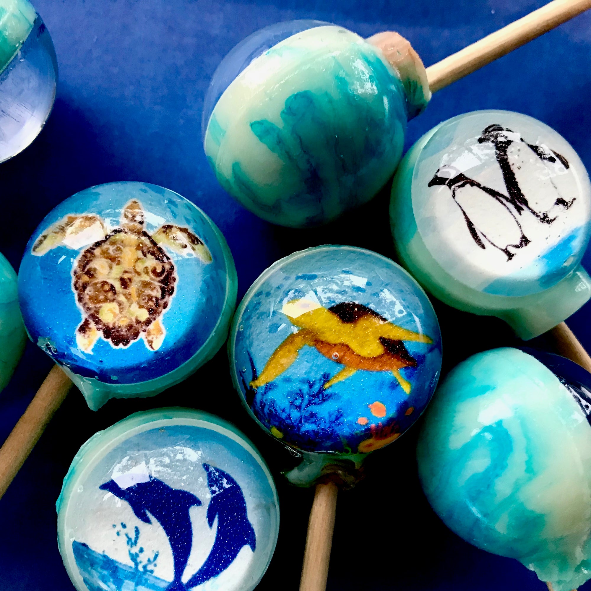 Aquatic Life Lollipops 6-piece set by I Want Candy!