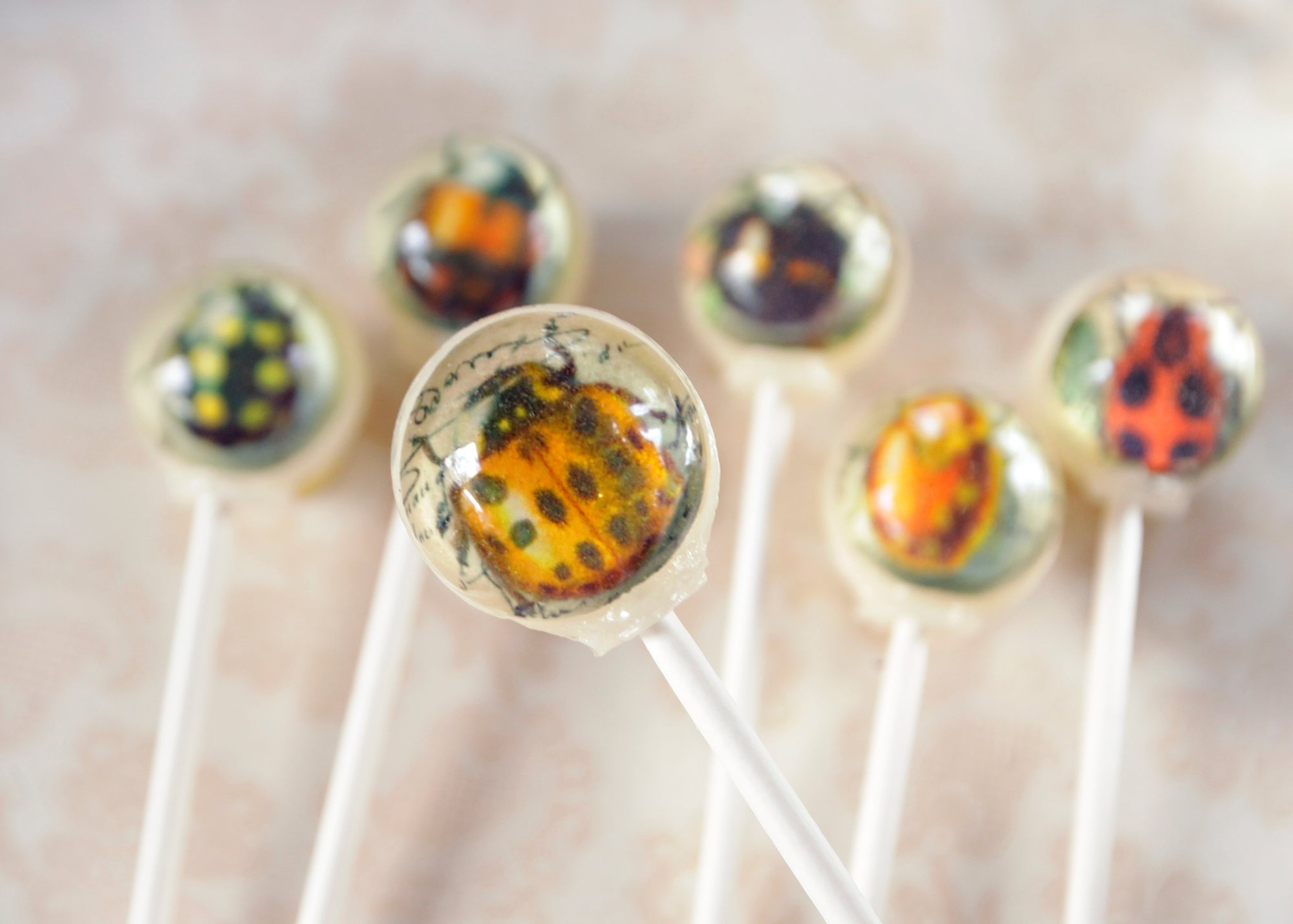 Vintage Ladybug Lollipops 6-piece set by I Want Candy