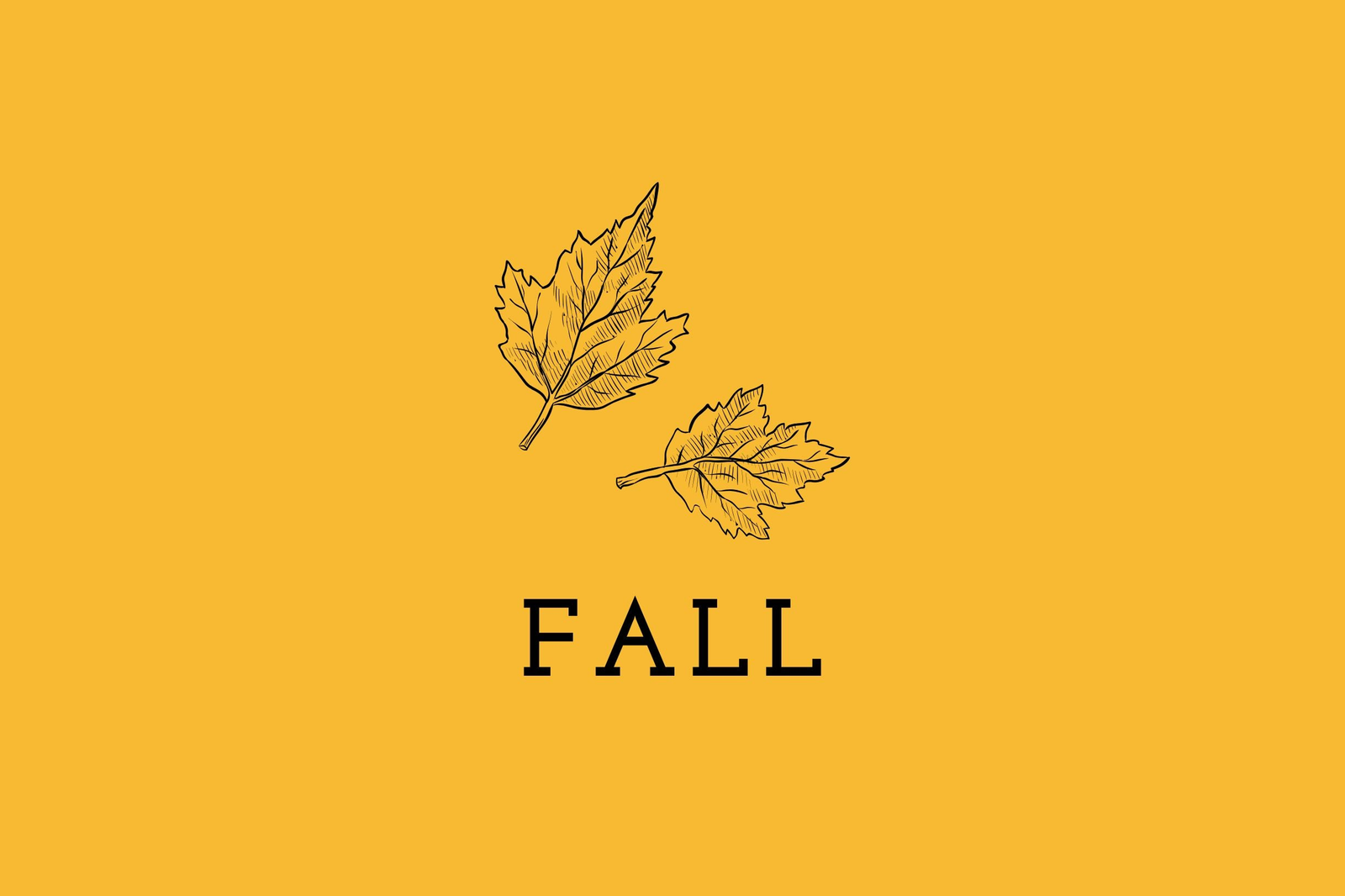 Fall