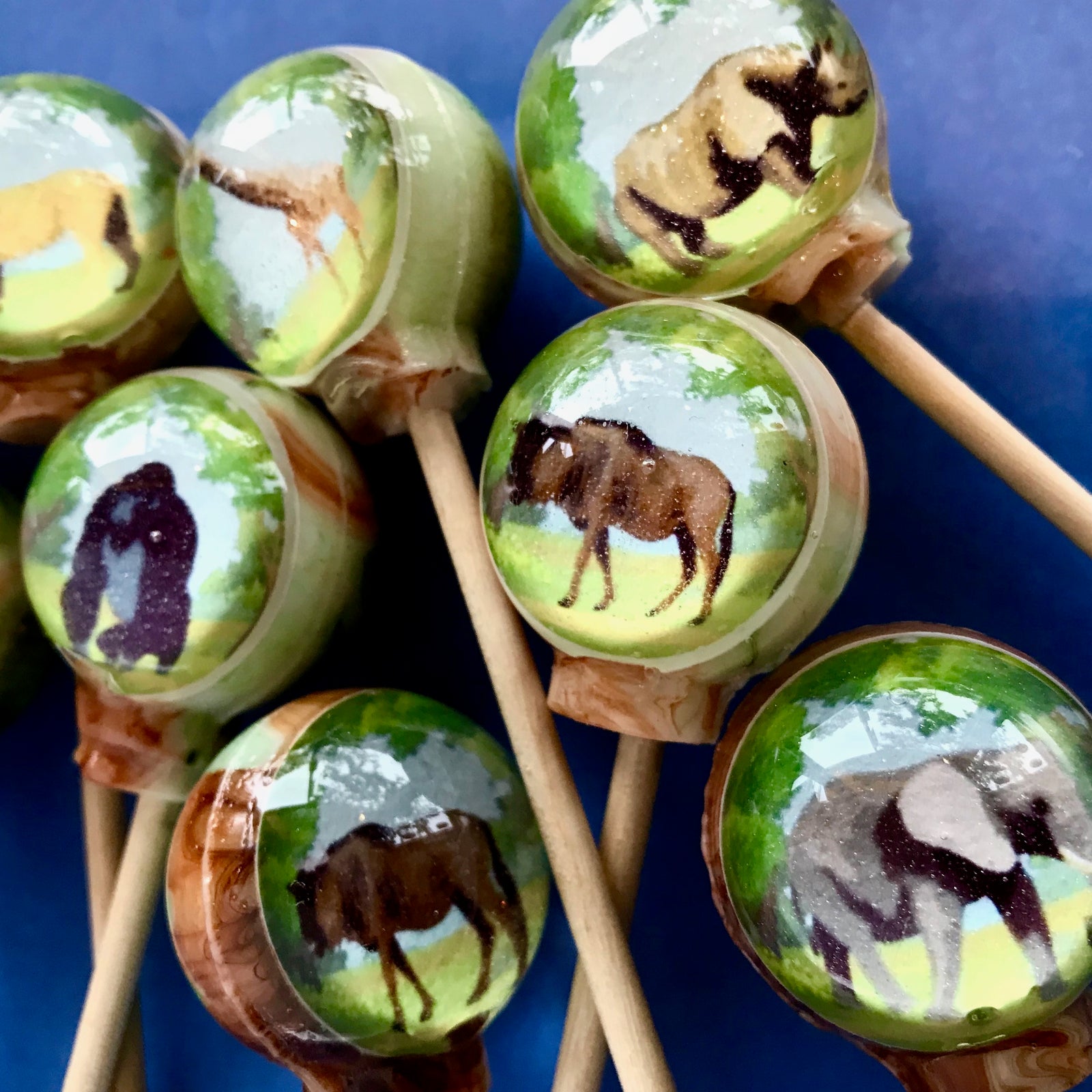 Zoo Safari Life Lollipops 6-piece set by I Want Candy!